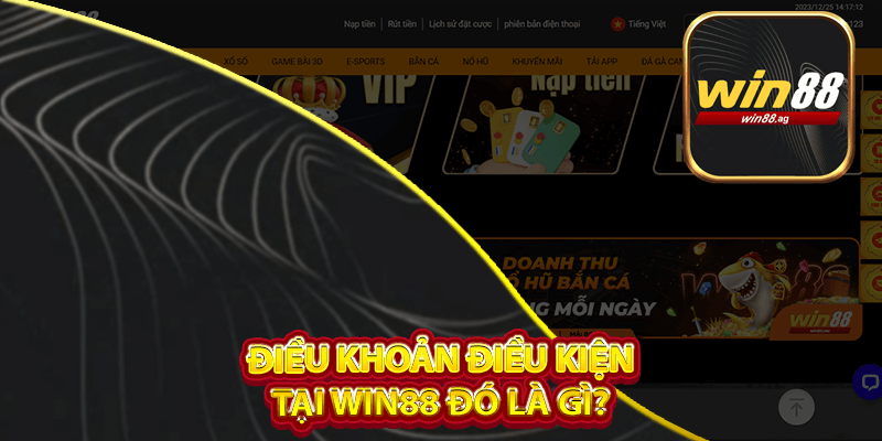 Điều khoản điều kiện tại Win88 đó là gì?